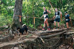 BIB: 
                            <button type="button" onclick="openModal(27555632)" class="btn btn-primary btn-sm float-right btn-popup" data-toggle="modal" data-target=".modal-high-quality">
                        <i class="fas fa-shopping-cart"></i> Add to Cart
                    </button>
                                            <button type="button" onclick="isThisMe(27555632, true)" class="btn btn-success btn-sm float-right btn-popup btn-isme hidden" data-toggle="tooltip" data-placement="bottom" title="นี่คือรูปของคุณใช่ไหม คลิกที่นี่เพื่อเอาเข้าอัลบั้ม">
                        <i class="fas fa-plus"></i> Add to album
                    </button>
                    <button type="button" onclick="isThisMe(27555632, false)" class="btn btn-warning btn-sm float-right btn-popup btn-isnotme hidden">
                        <i class="fas fa-ban"></i> Remove from album
                    </button>